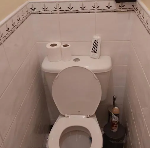 Проживание в семье Small Single Леттеркенни